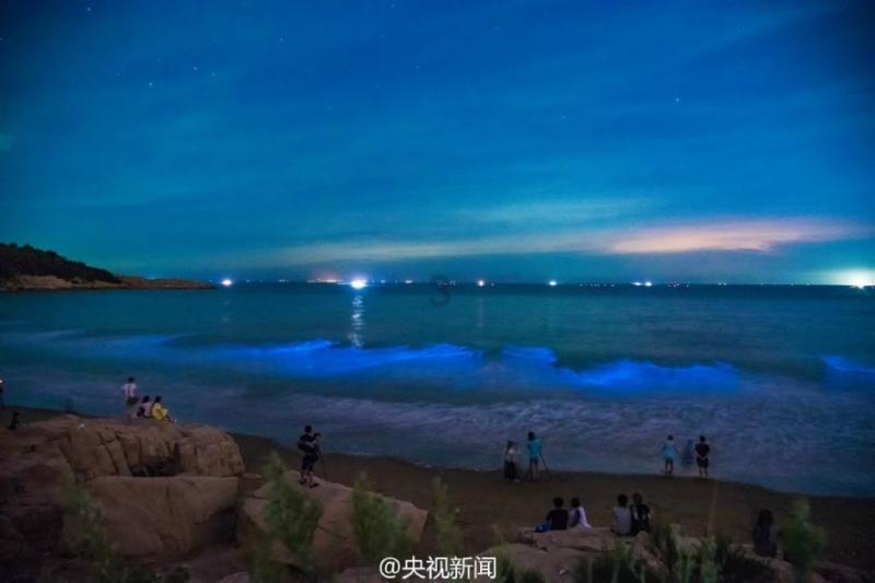 全民烧脑3去广告版