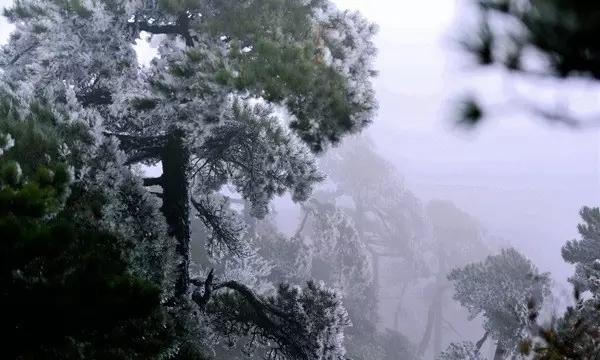 知情人曝王心凌曾陷感情低谷！每次受情伤都很痛苦，只因太传统